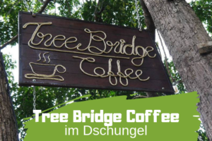 Tree Bridge Coffe im Dschungel